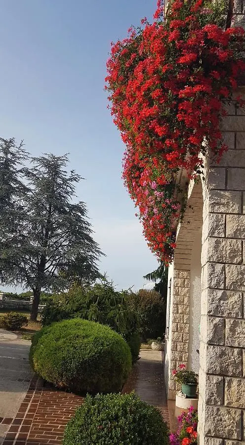 Holiday Apartment Villa Bianca Pazin 0*,